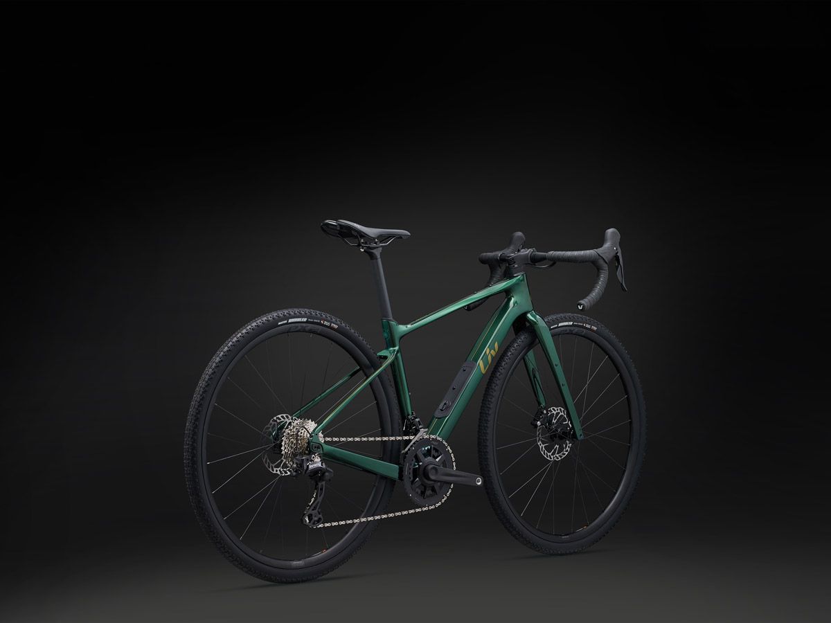 MY24 Devote Advanced 2 Color A Kelp Forest Rear B