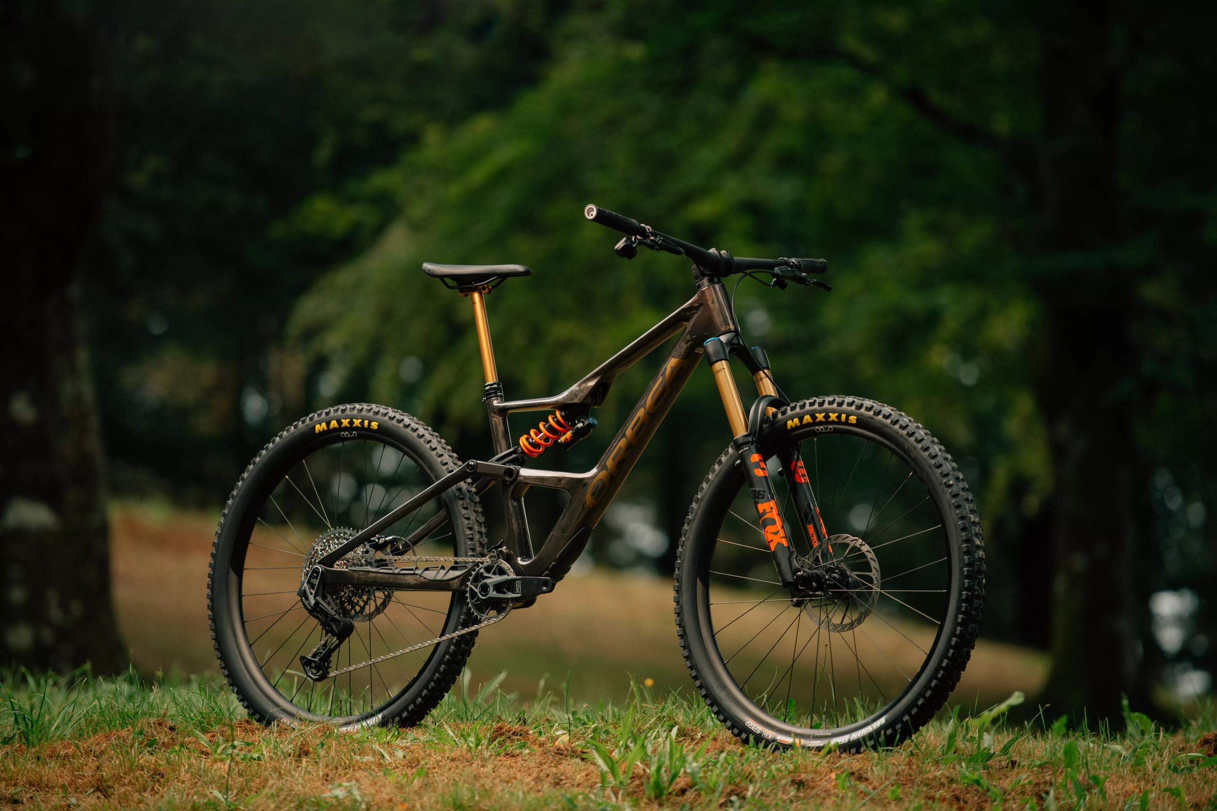 Orbea Occam SL y LT 2024 (12)