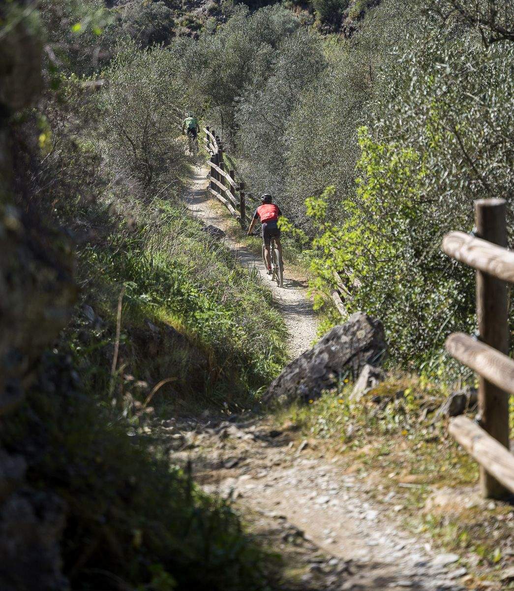  A745075