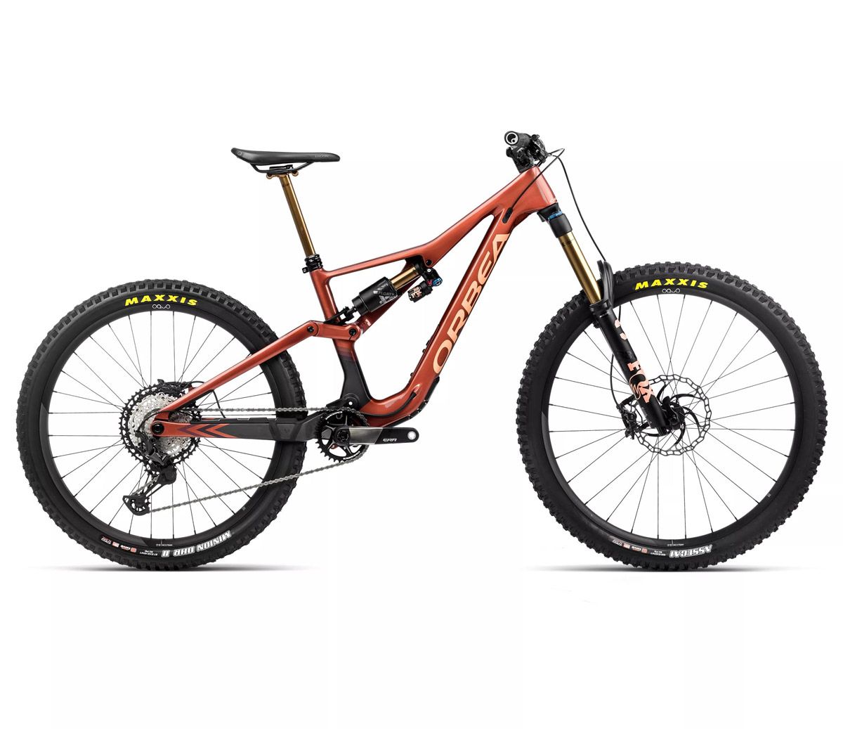 RALLON MTEAM   Large