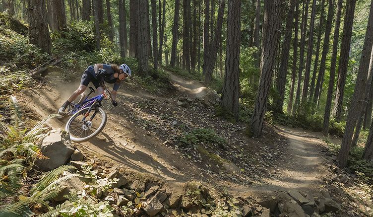 Fox CrossframePro Action