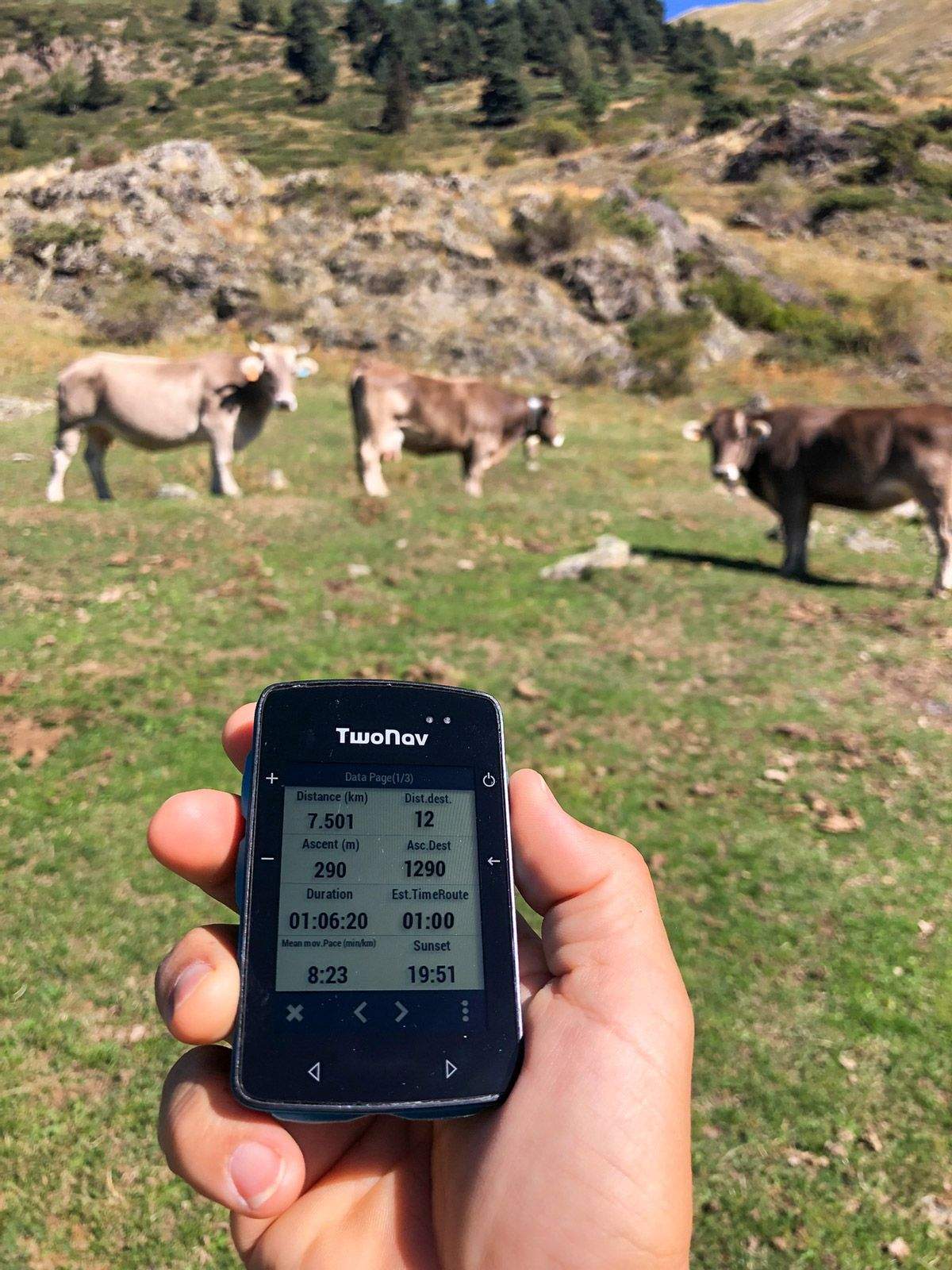 Nuevo GPS Twonav Roc (19)
