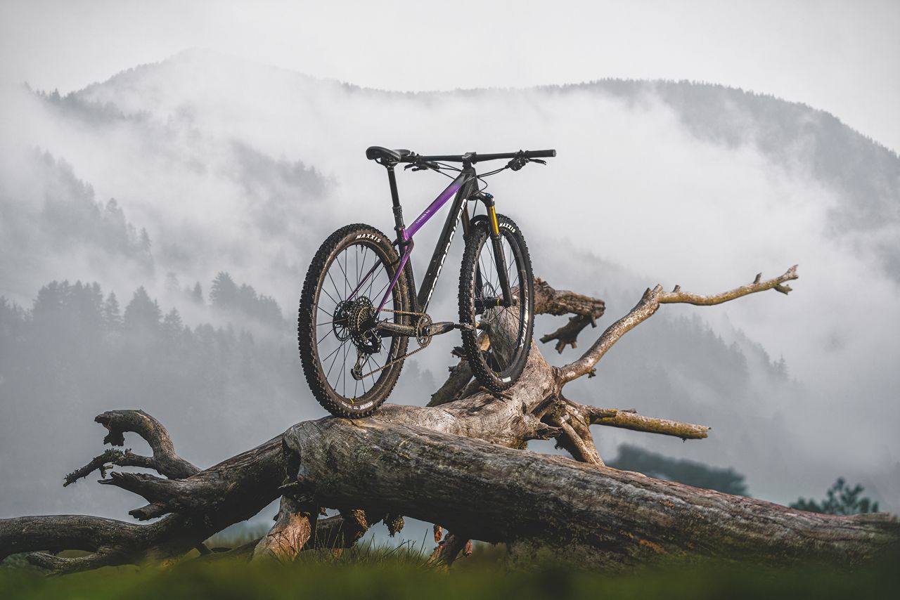 Mondraker Chrono (1)