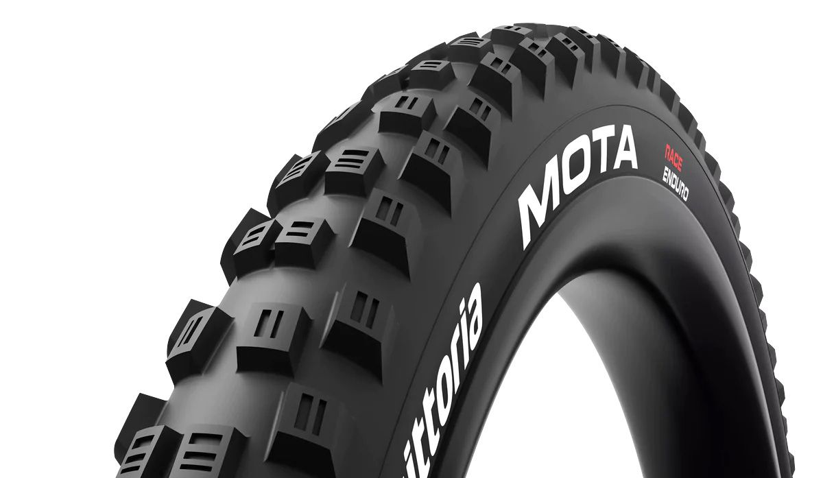 vittoria mota vittoria mota