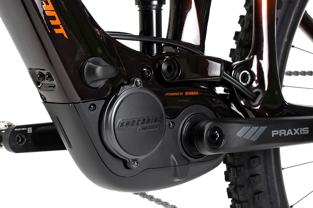 Estudio Giant eTrance (21)