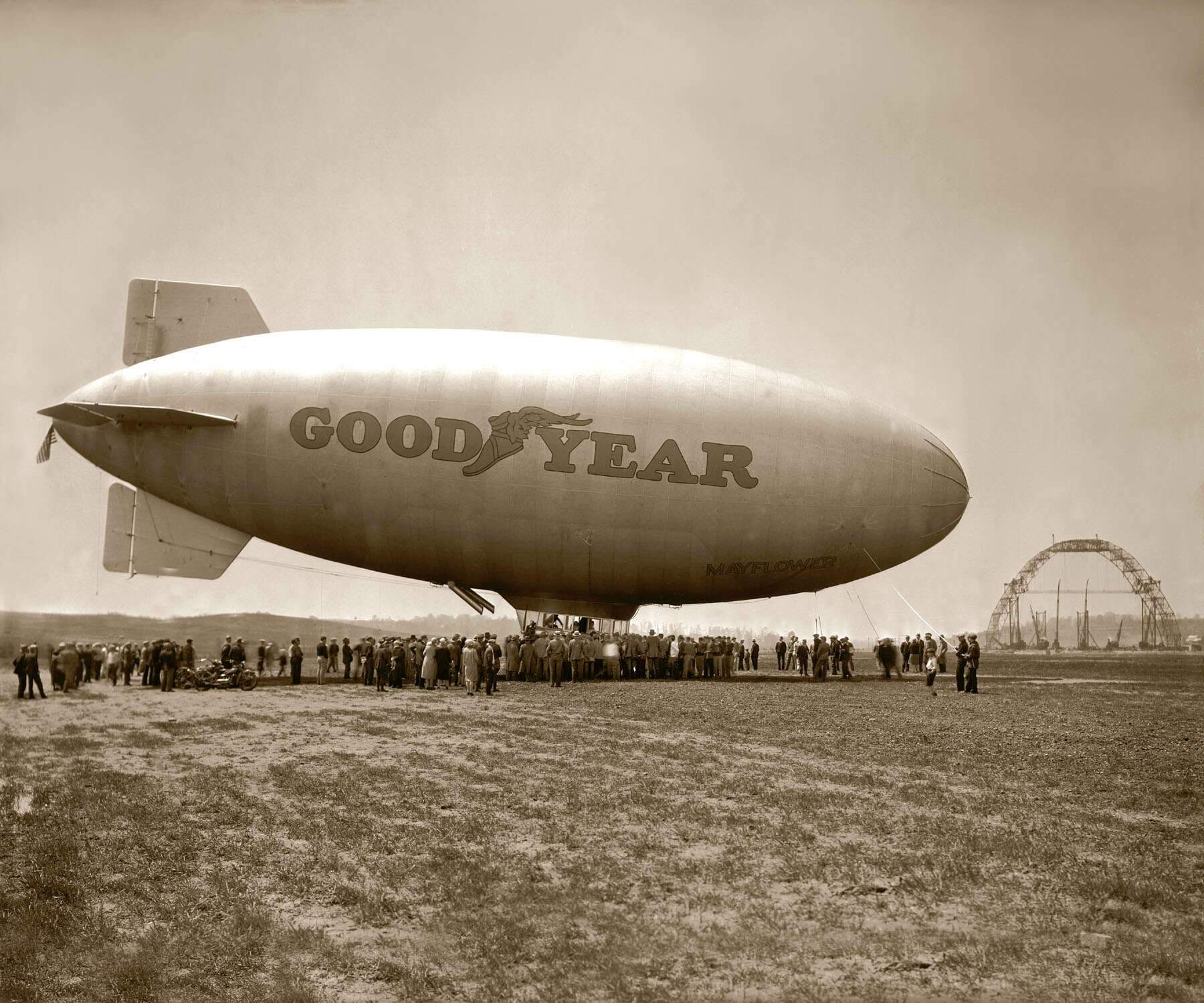 Good Year (4) Good Year (4)