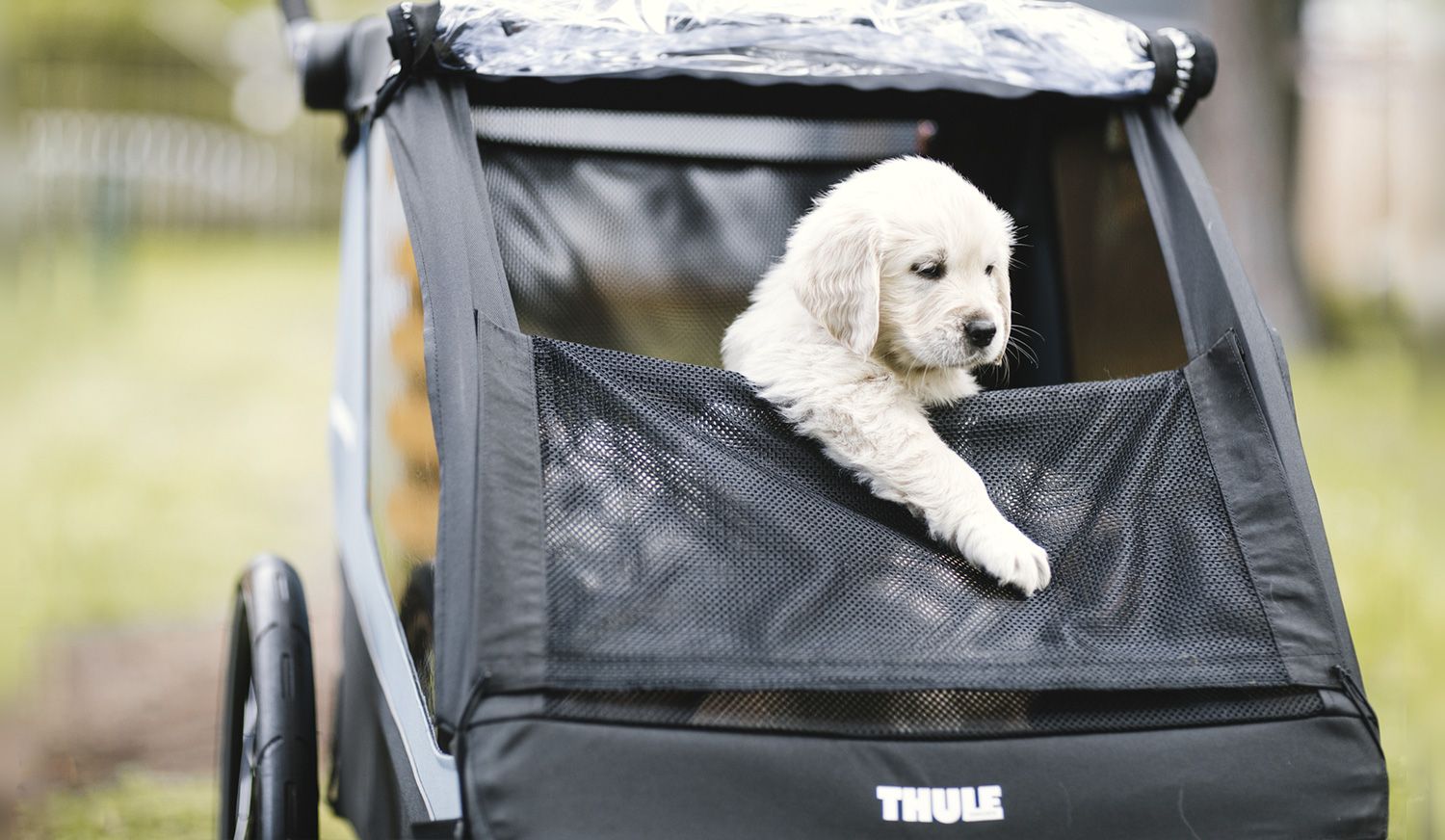Thule Courier. El remolque perfecto para niños y mascotas Thule Courier. El remolque perfecto para niños y mascotas