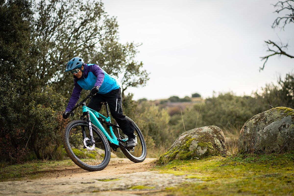 Wilier Urta Hybrid 6