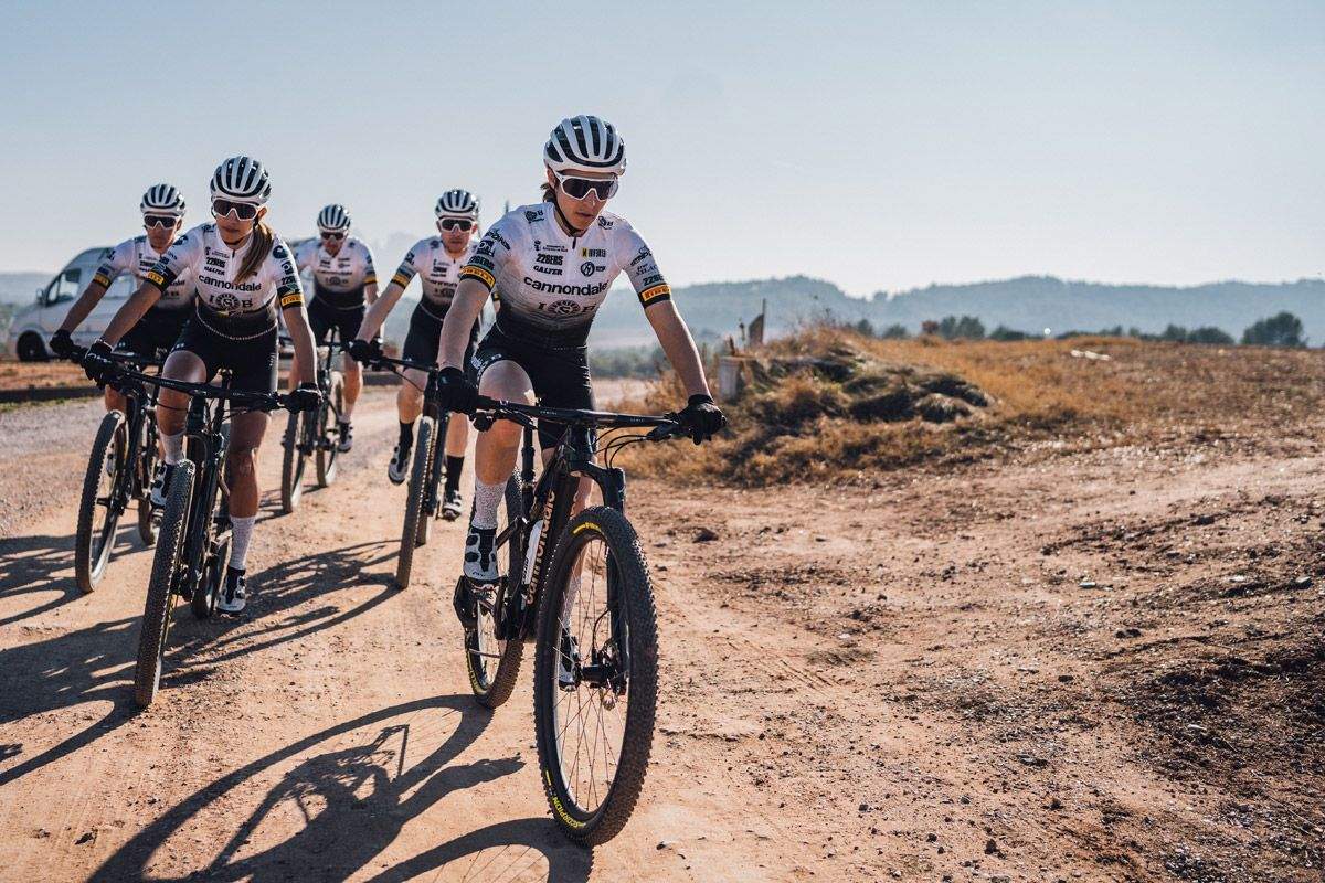 Cannondale ISB, muchos cambios detañlle