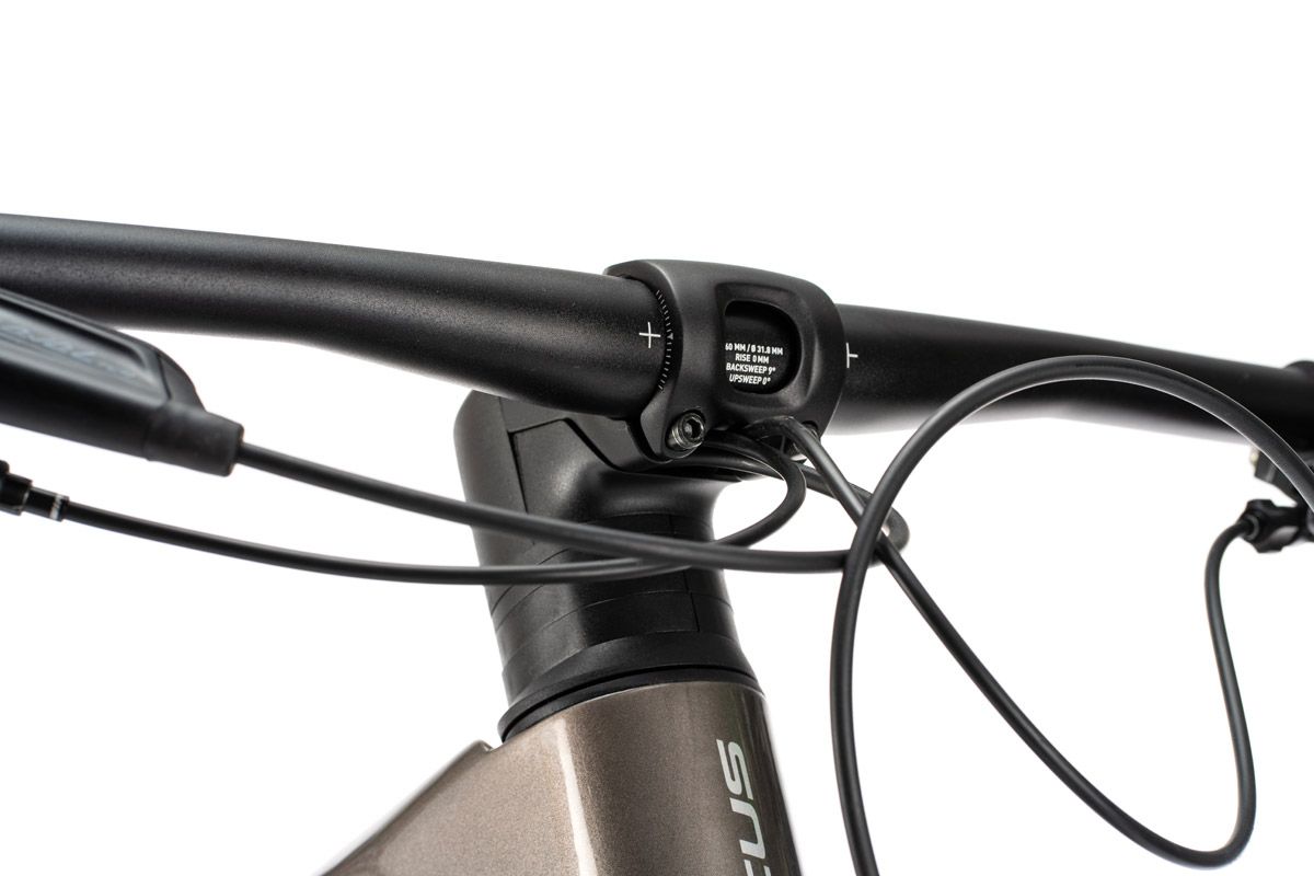 Estudio Focus Raven (11)