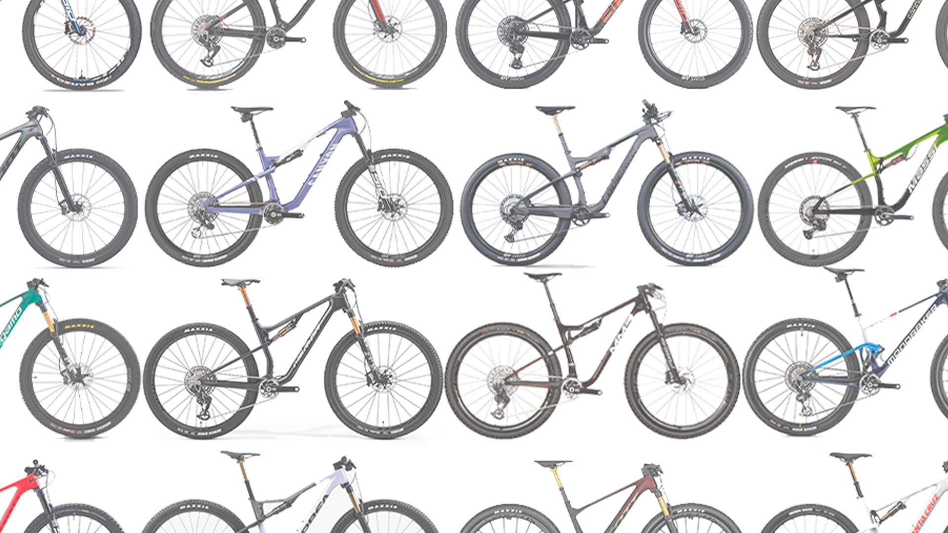 VOTA: Mejor Bici del Año 2024 VOTA: Mejor Bici del Año 2024