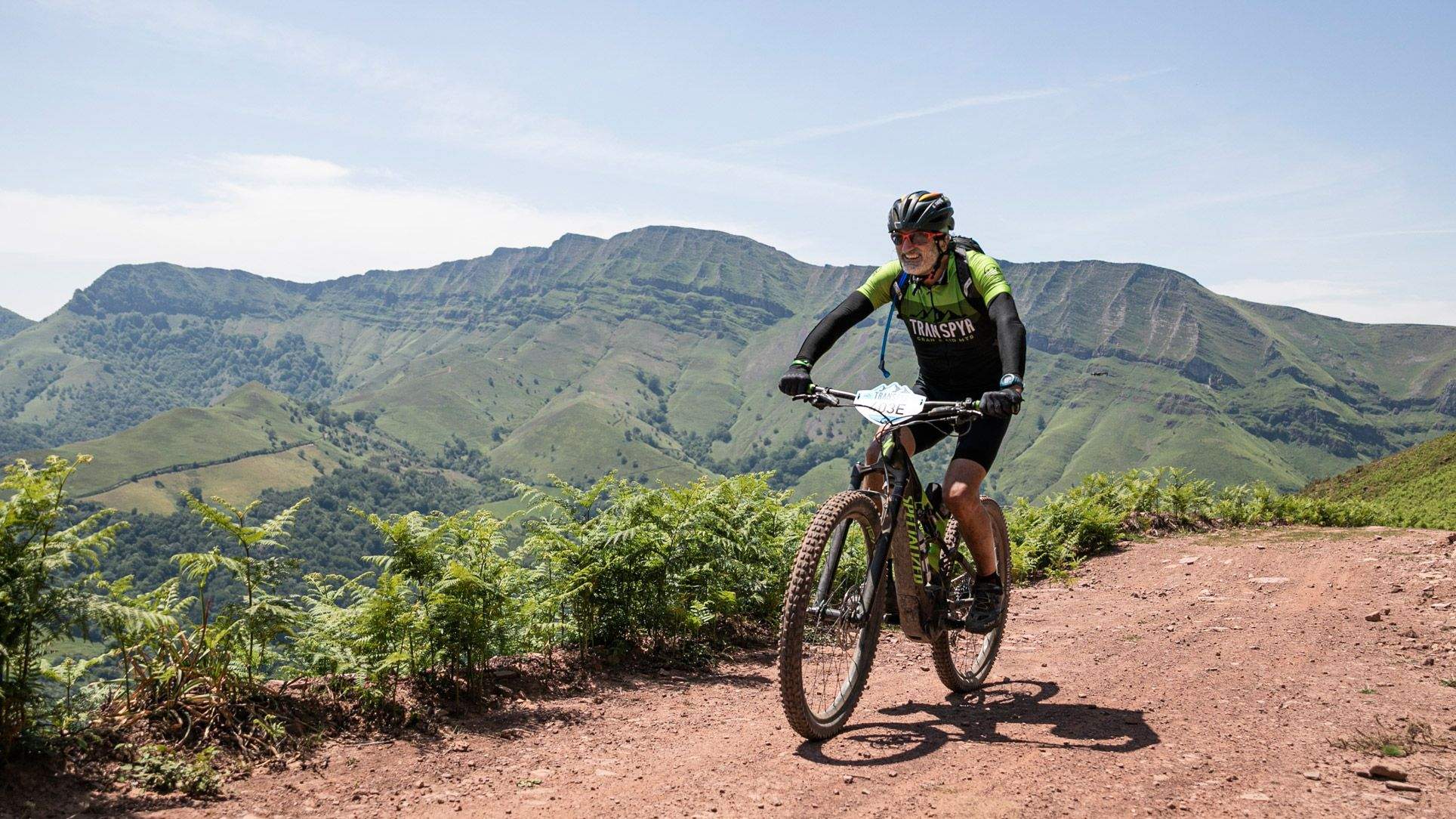 Concurso Transpyr Bosch detalle 1