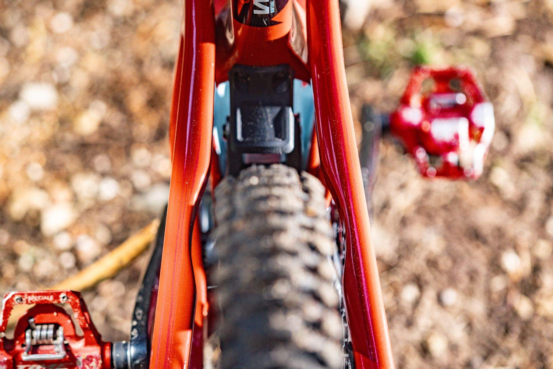 Santa Cruz Heckler (8)