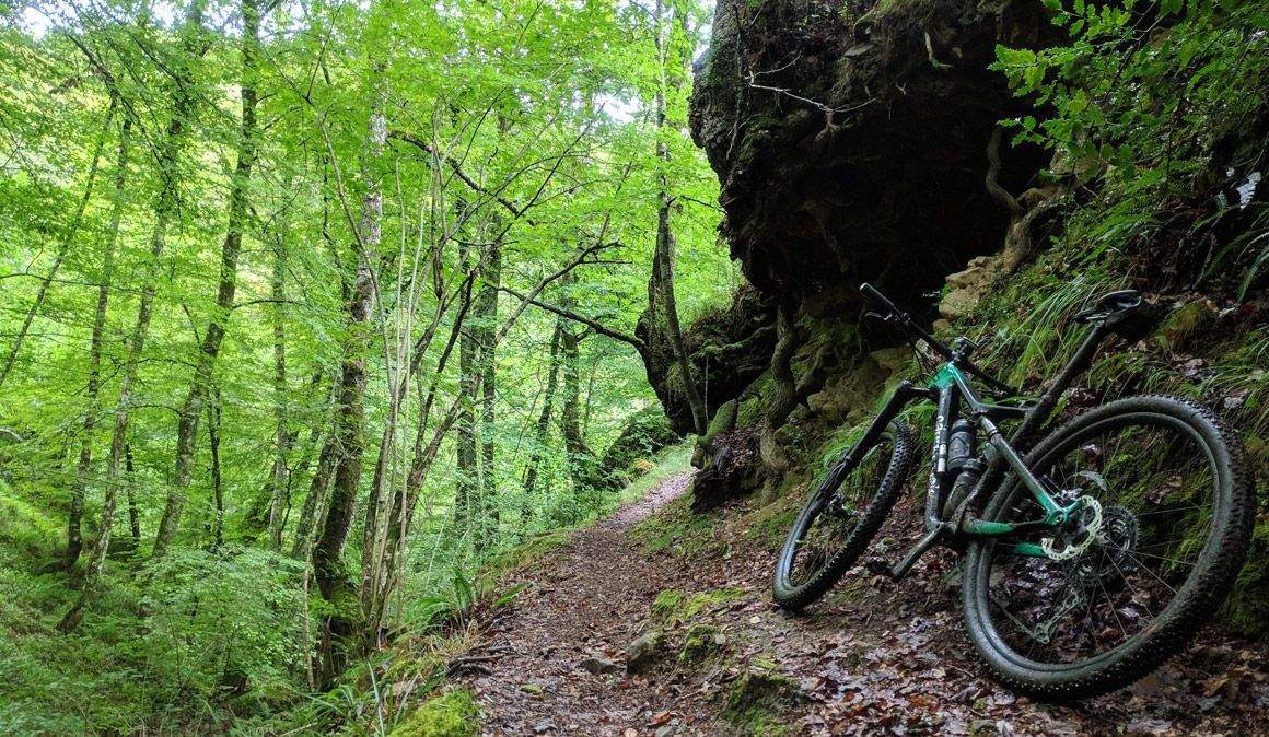 Rutas para el verano cantabria parque saja besaya