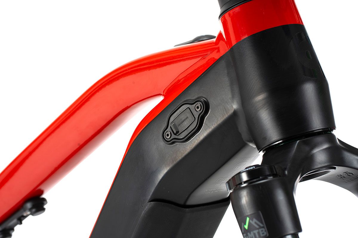 Estudio Beeq M850 Wild (7)