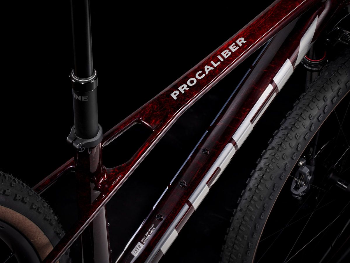 Procaliber97AXS 25 47245 A Alt3