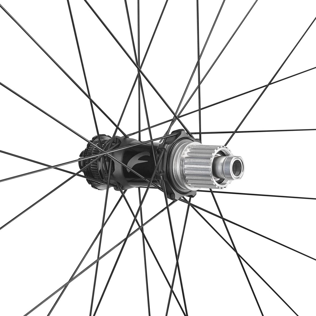 2025 Fulcrum Metal Carbon studio 1 4 hub rear 2025 Fulcrum Metal Carbon studio 1 4 hub rear