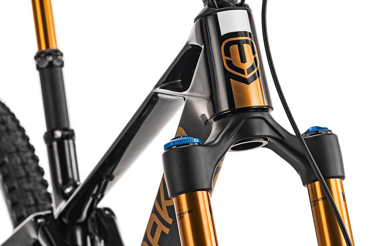 Mondraker Foxy 20 aniversario 15 Mondraker Foxy 20 aniversario 15