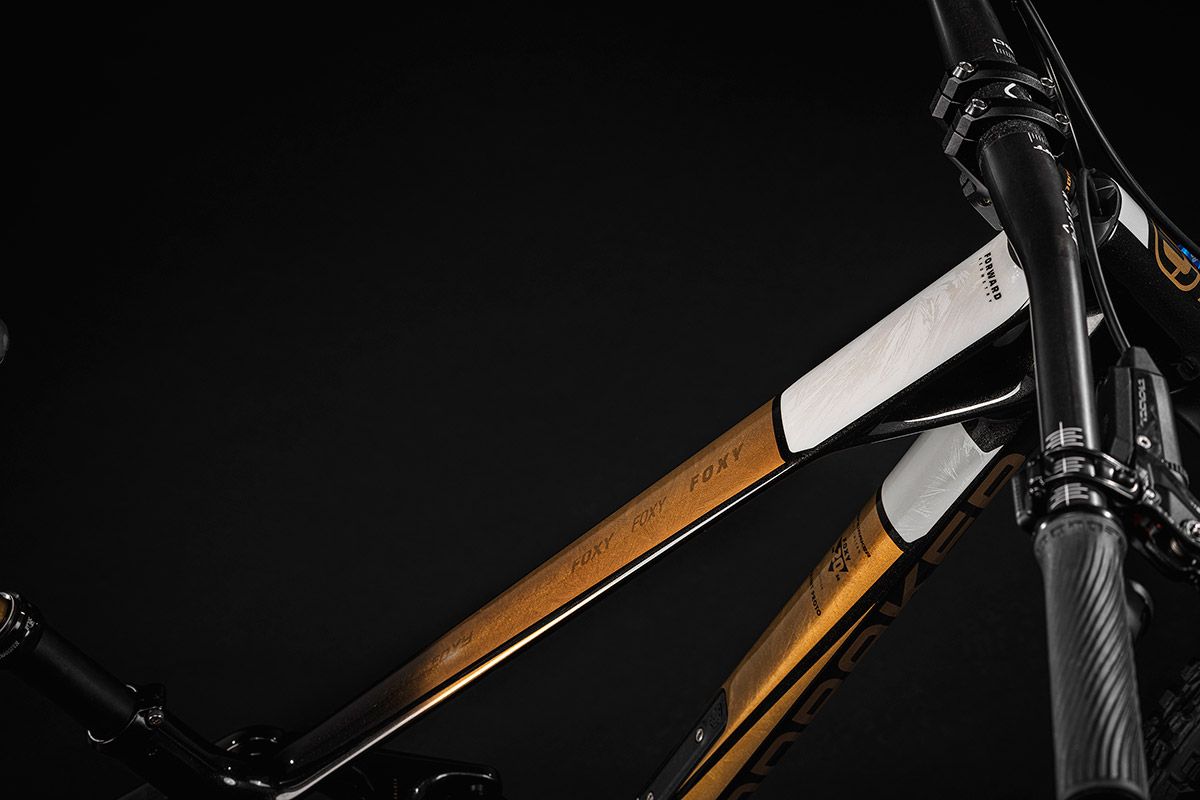 Mondraker Foxy 20 aniversario 17