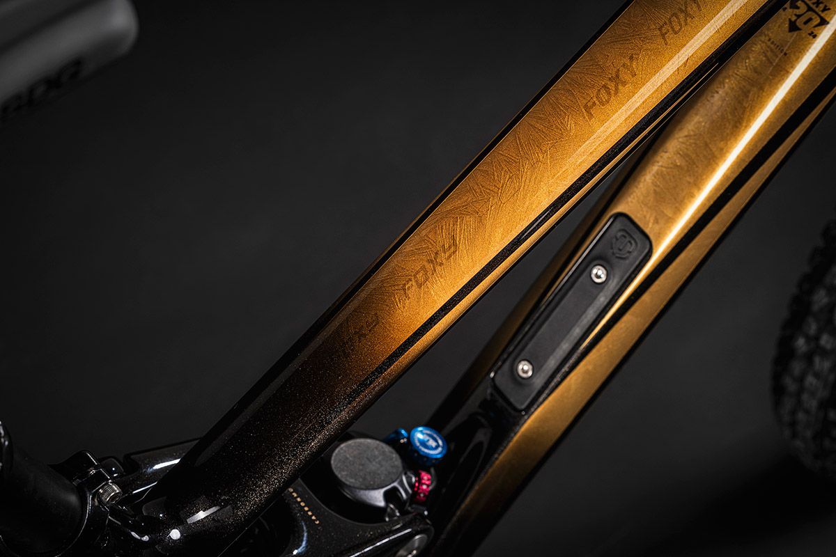 Mondraker Foxy 20 aniversario 43