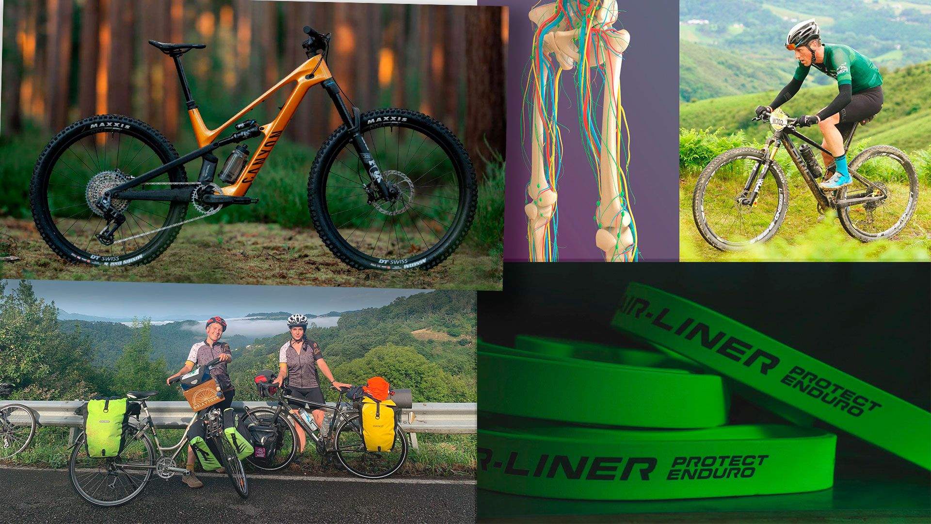 Top 10 MTB