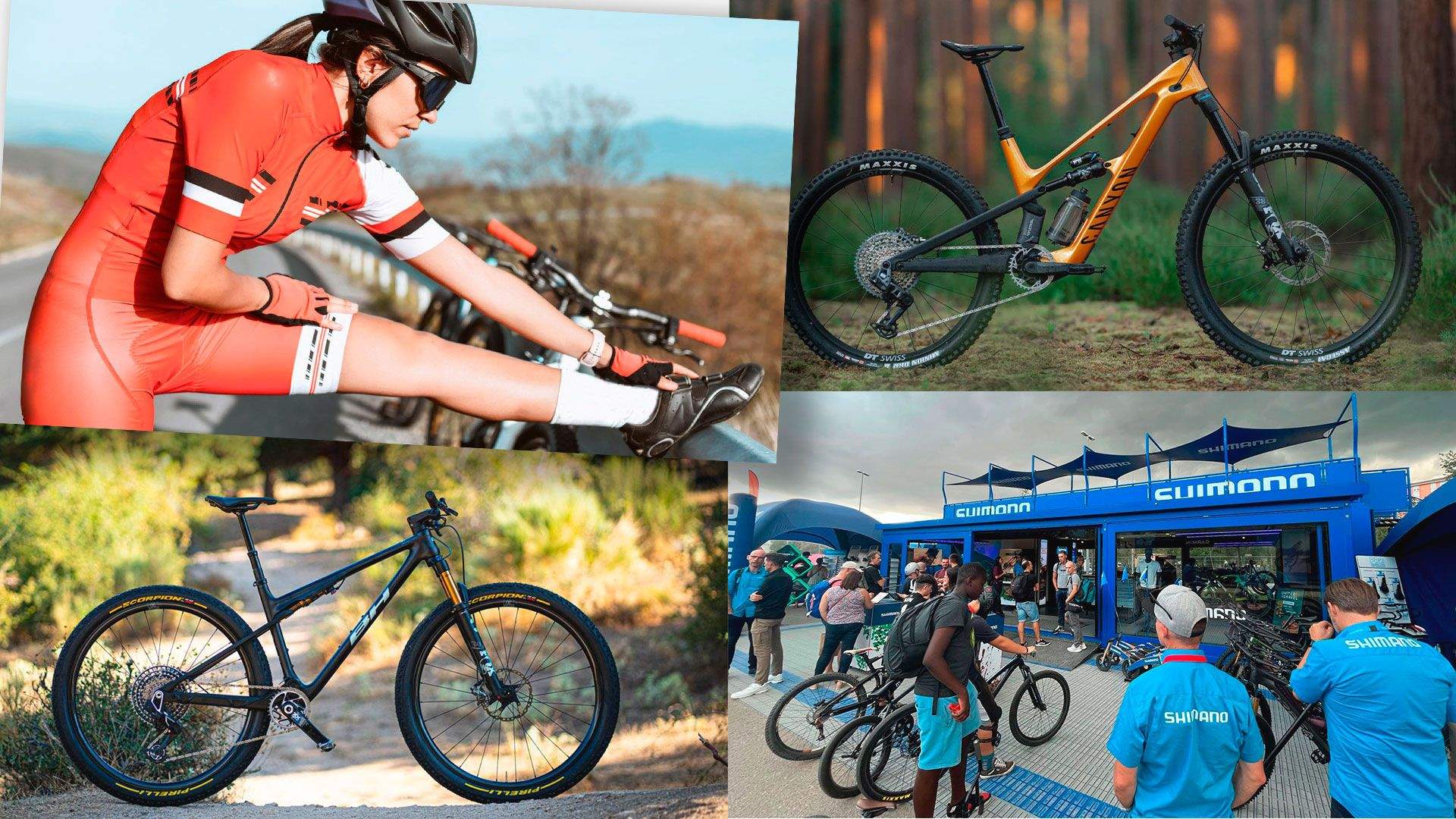 Top 10 MTB