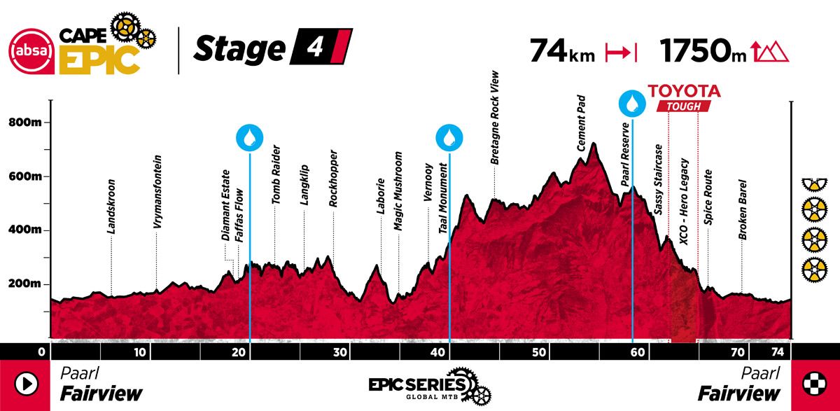 ACE25 Profiles Stage 4
