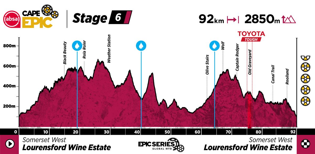 ACE25 Profiles Stage 6