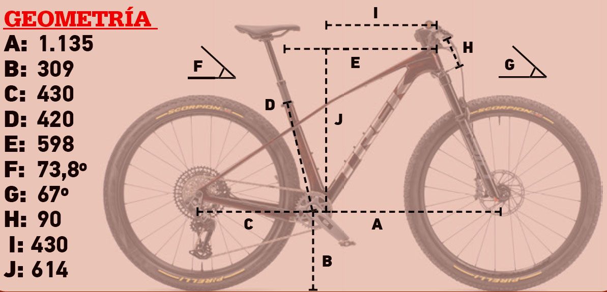 geometria