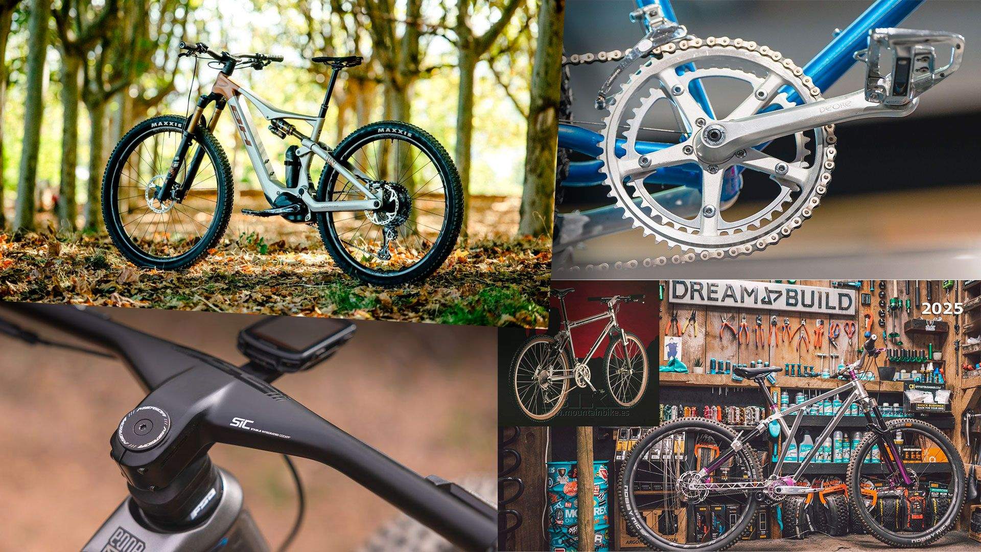 Top 10 MTB