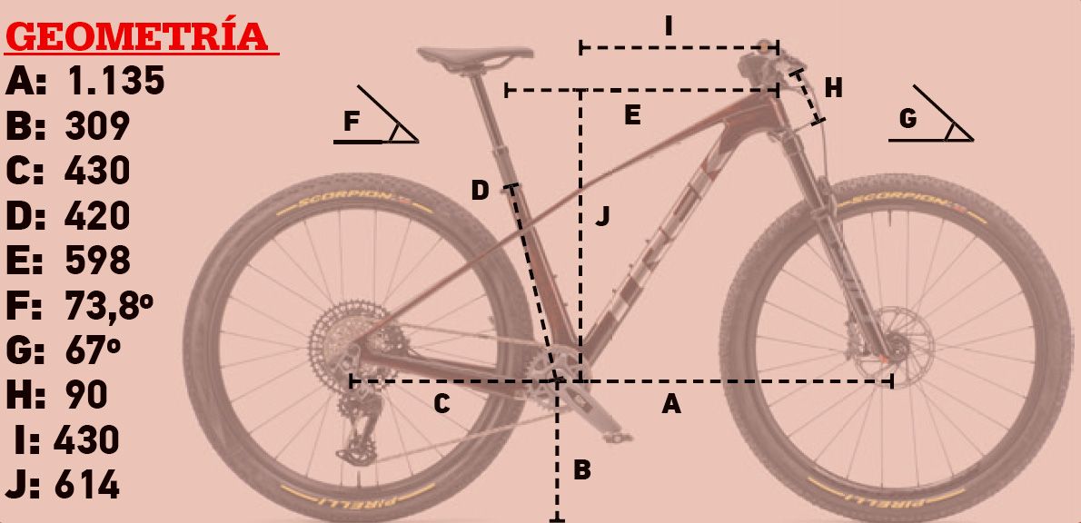 Geometria