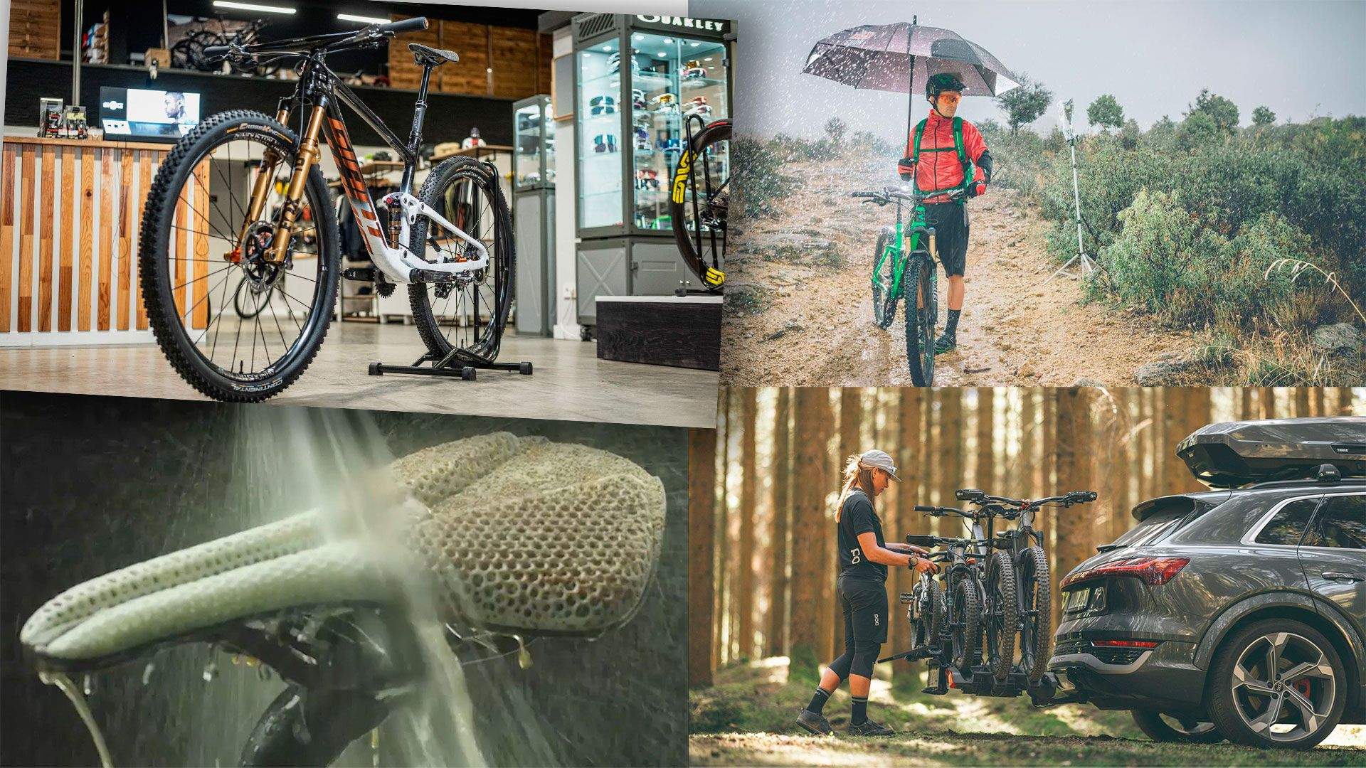 Top 10 MTB