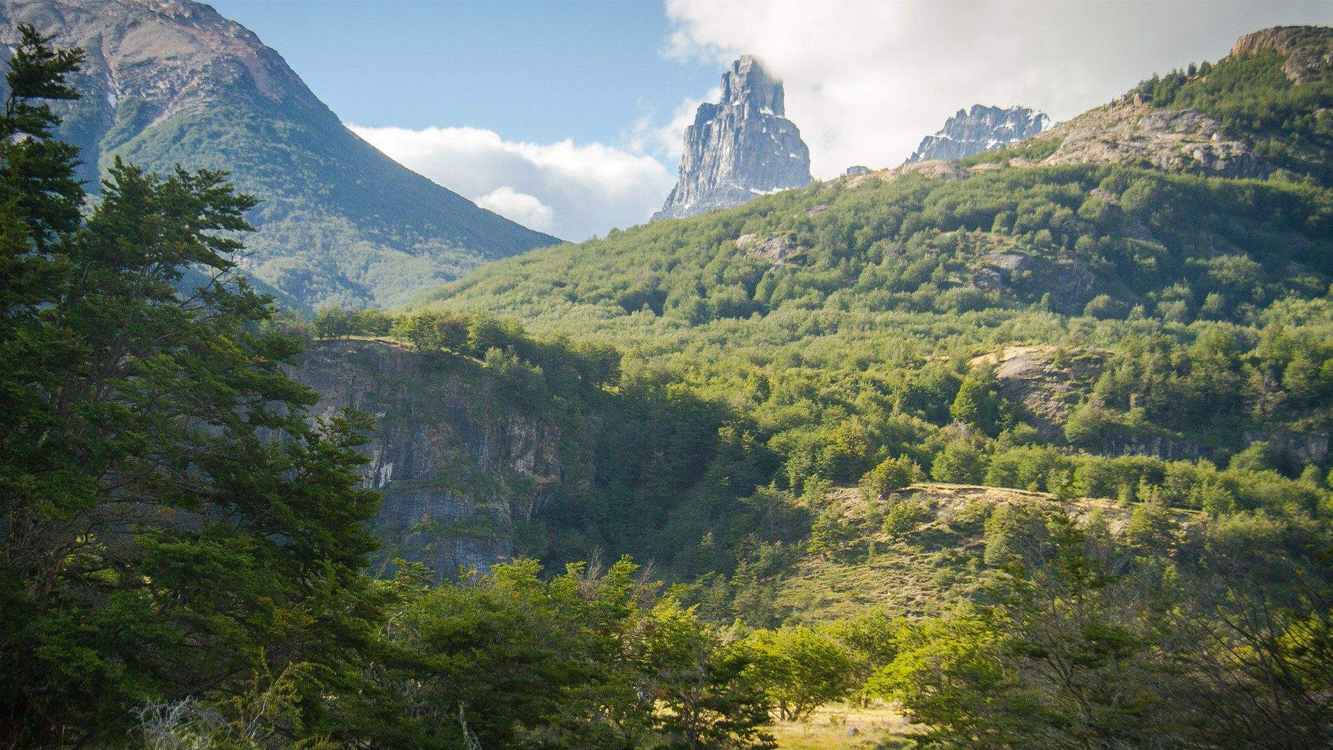 Sin título 1Titan Forest Patagonia. La primera prueba de Titan World Series en Sudamérica