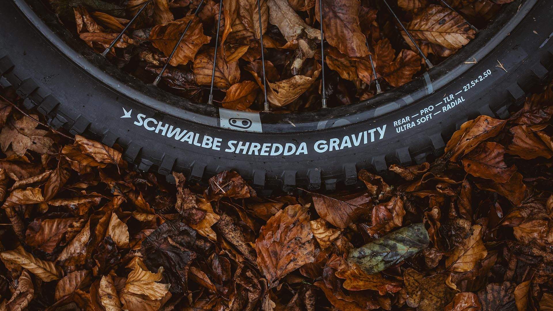 Schwalbe Radial Schwalbe Radial
