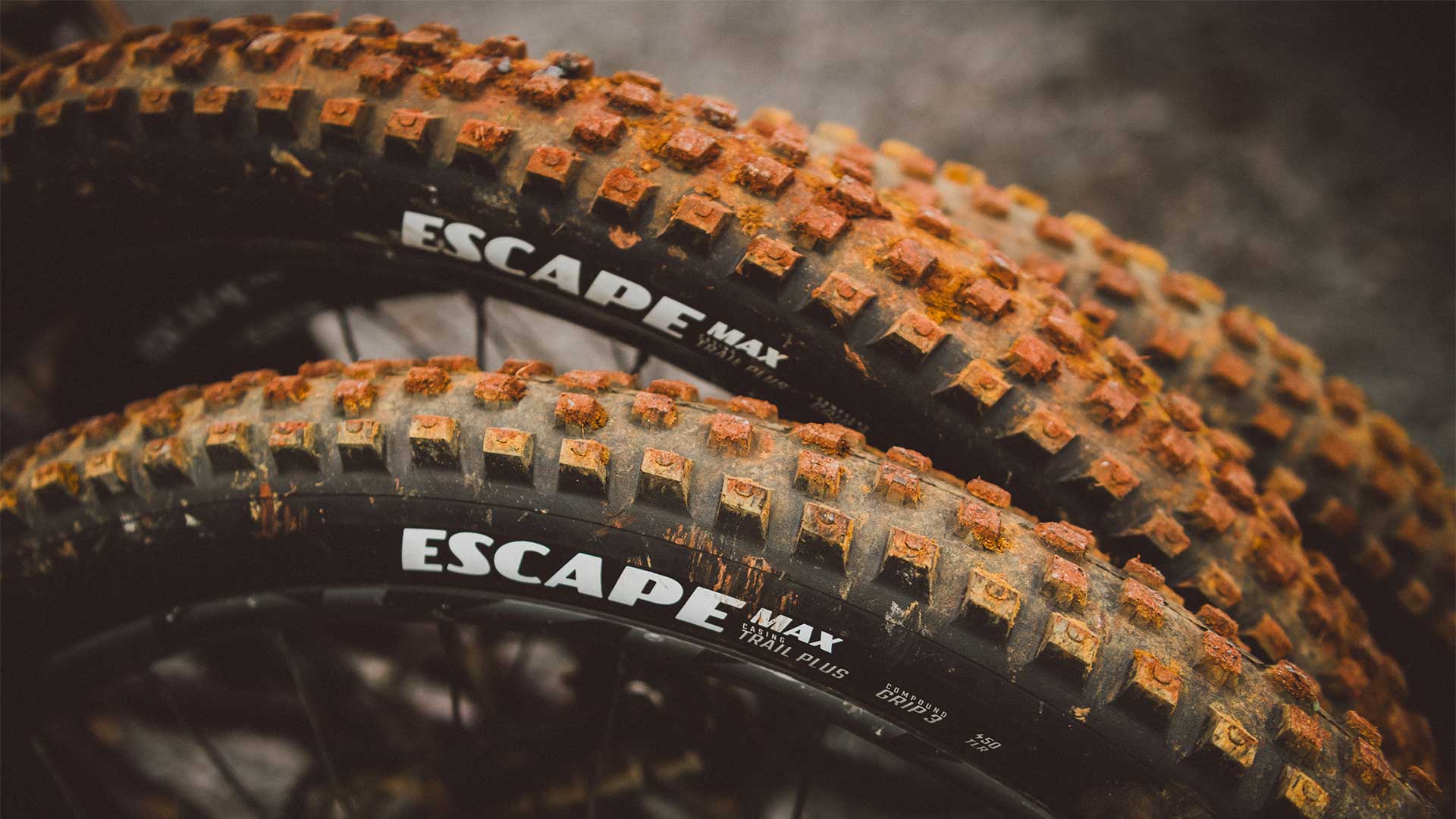 Escape Inter & Max. Los nuevos neumáticos de Goodyear