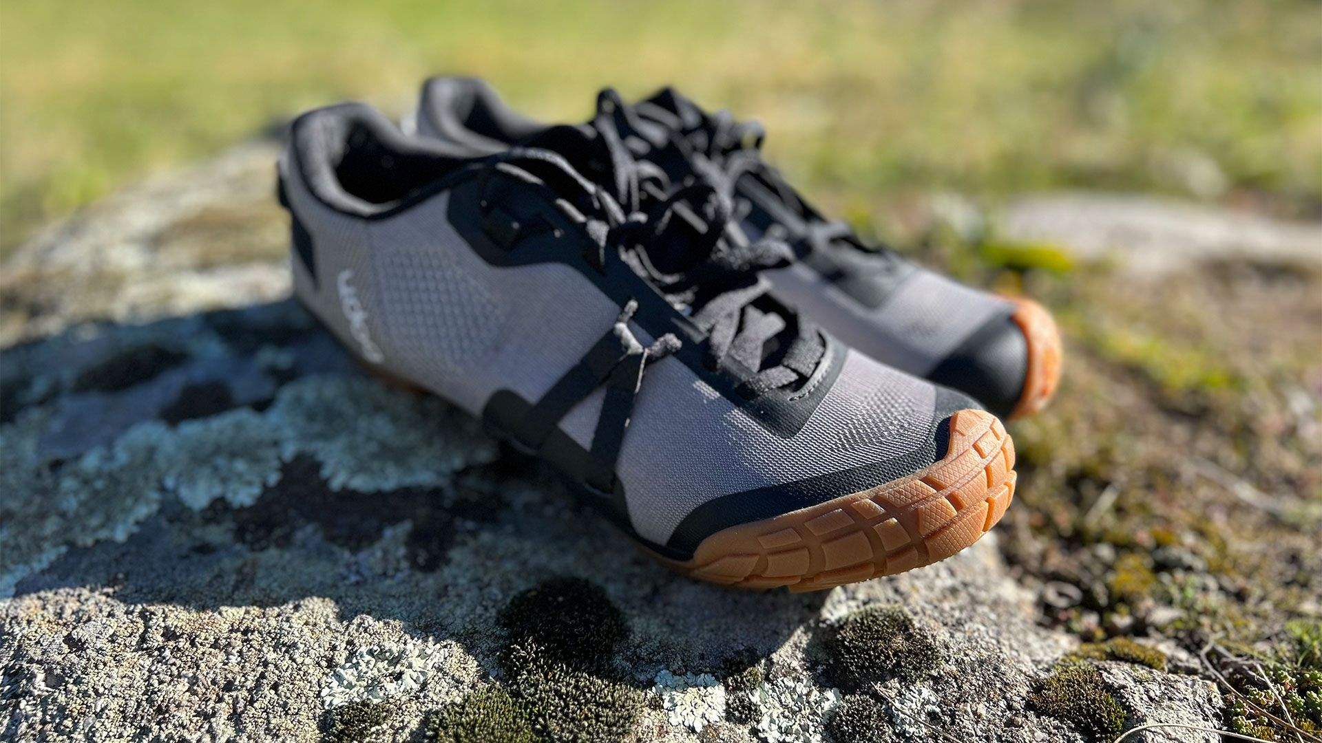 Zapatillas UDOG Distanza Ash Grey