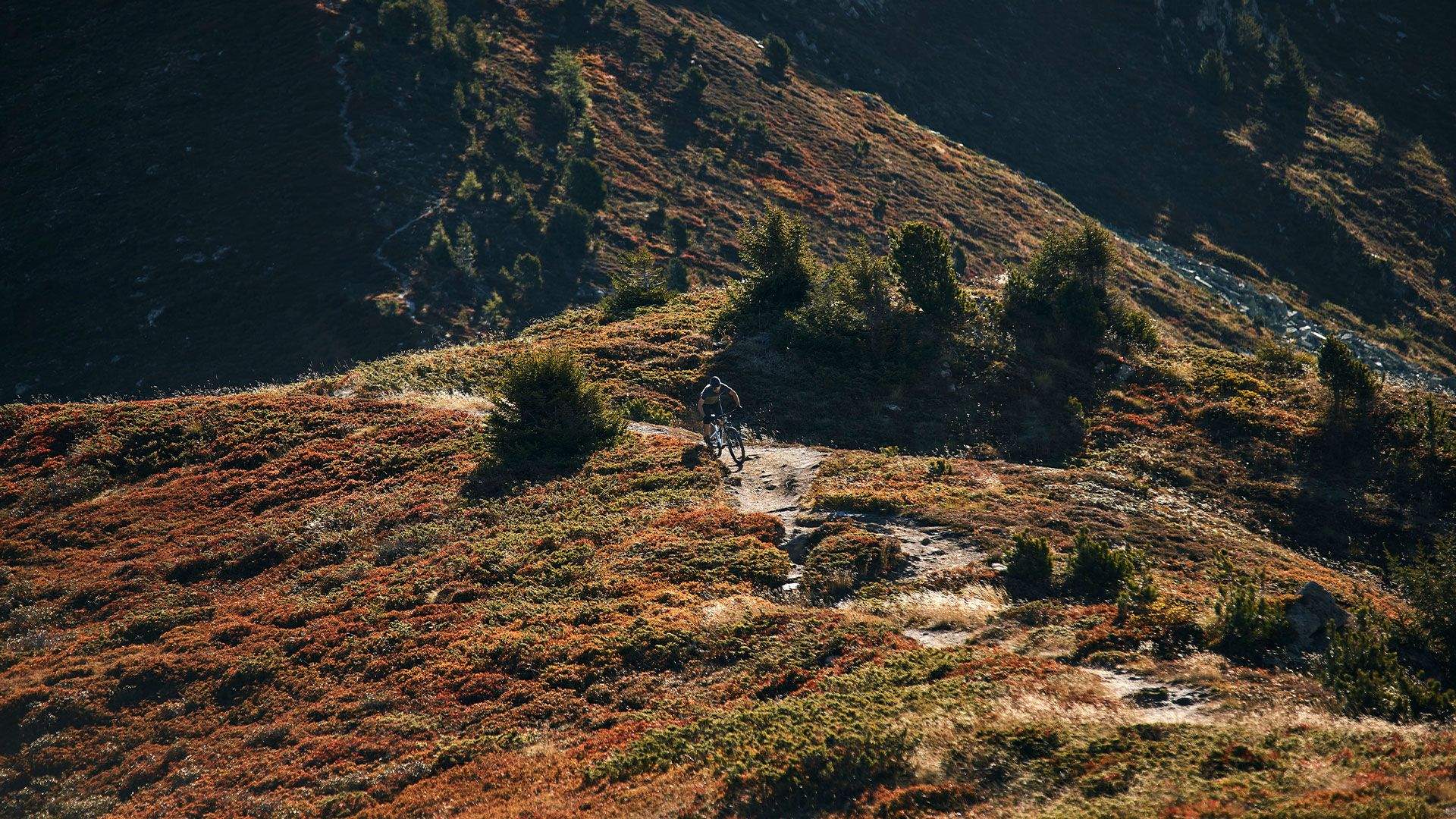 Fuerza mental. ¿Qué papel juega en el ciclismo y en nuestras vidas? Fuerza mental. ¿Qué papel juega en el ciclismo y en nuestras vidas?