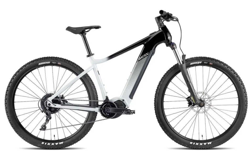BESV TRX