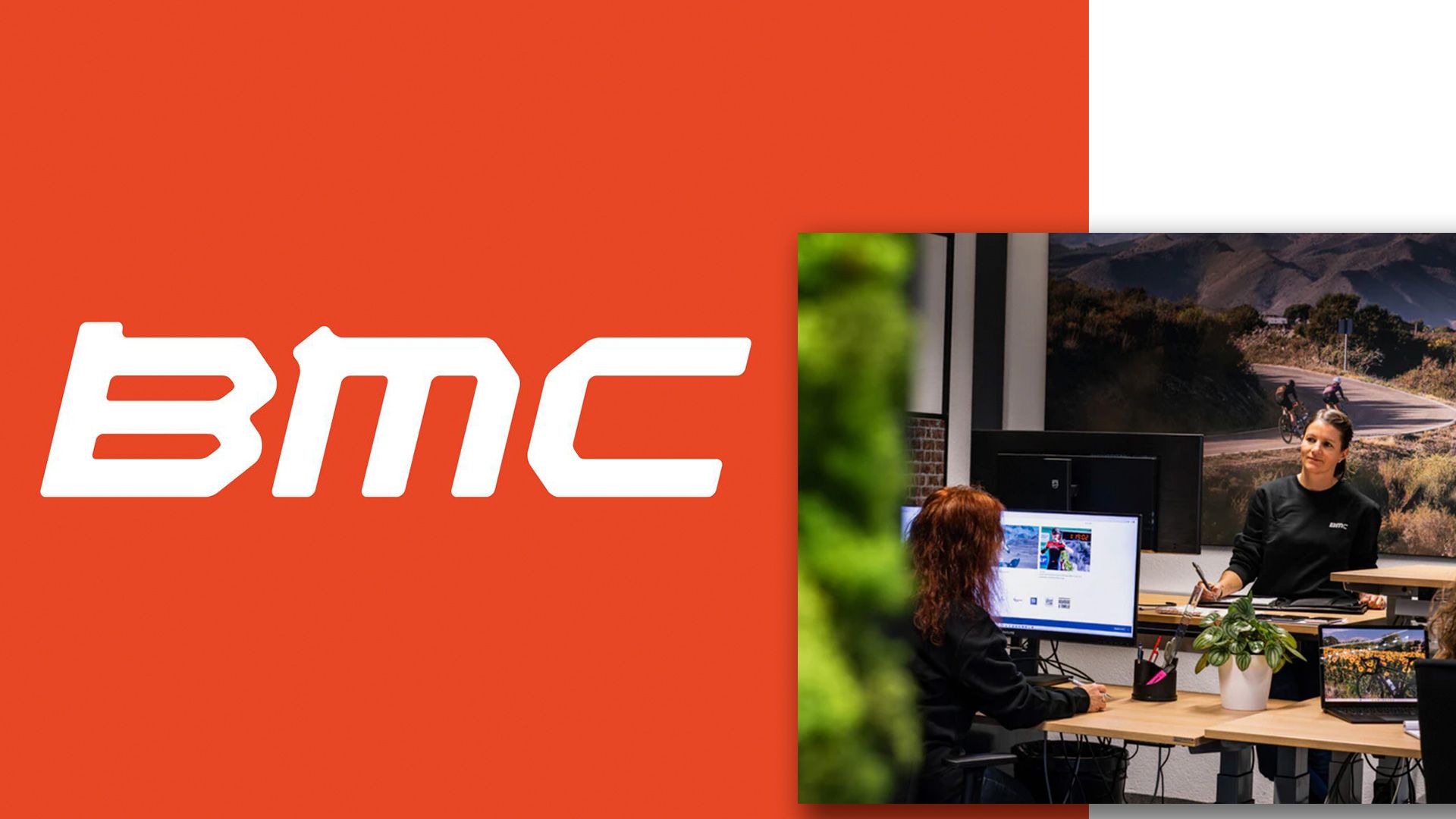 Crisis en BMC. Hasta 40 empleados podrían ser despedidos Crisis en BMC. Hasta 40 empleados podrían ser despedidos