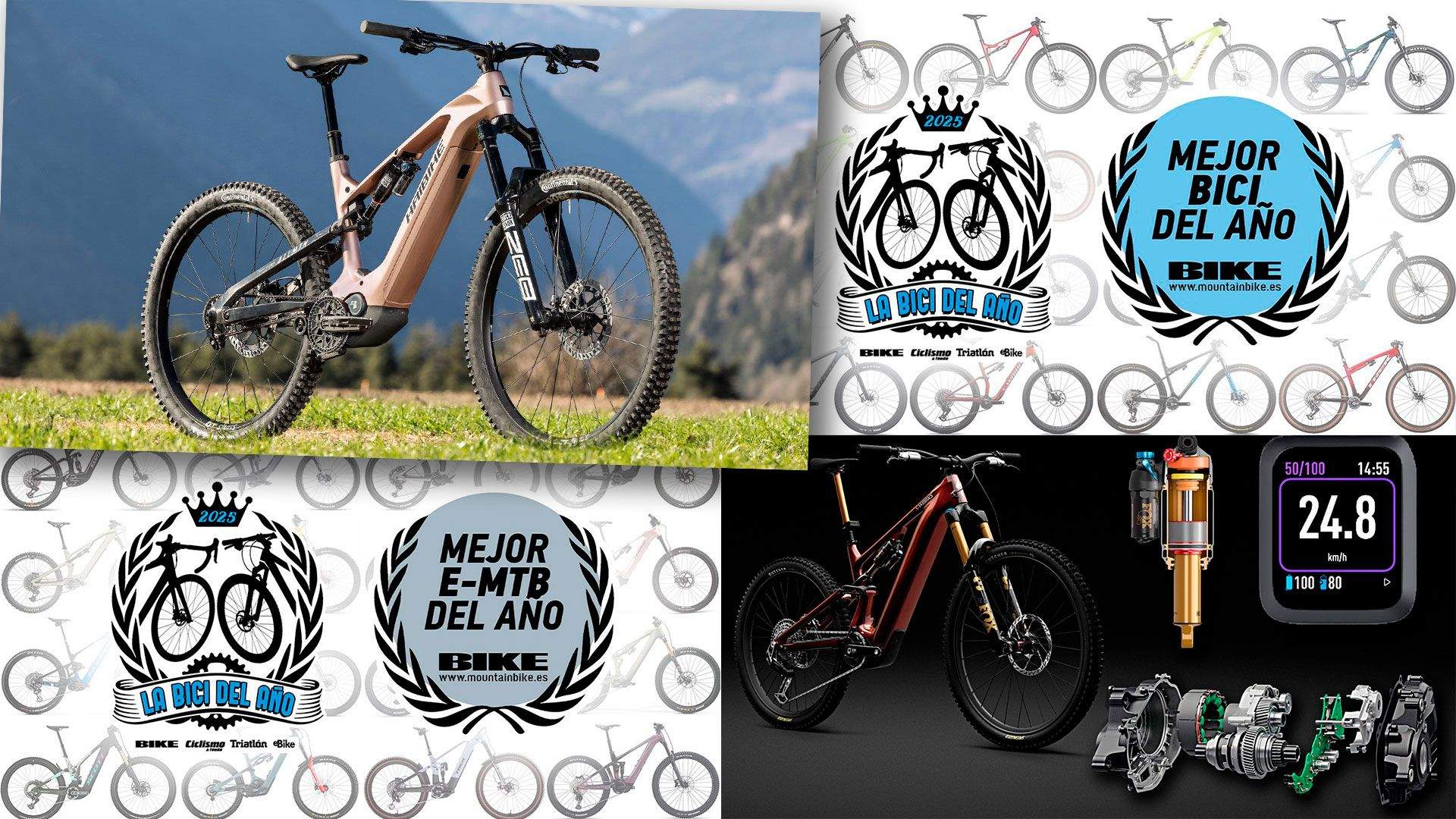 Top 10 MTB