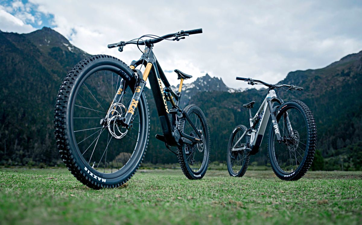 Two Bike static Jungle