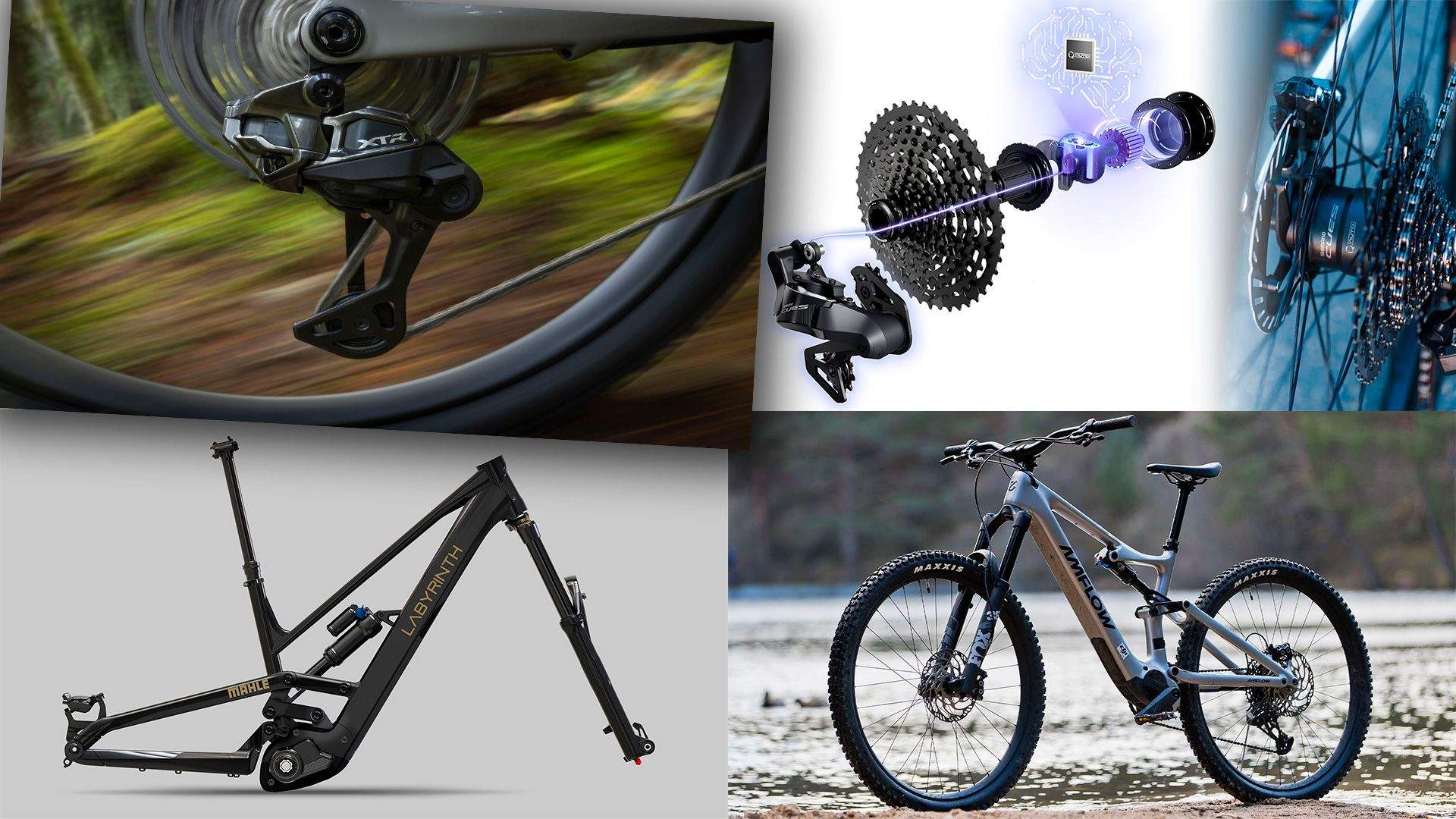 Top 10 MTB