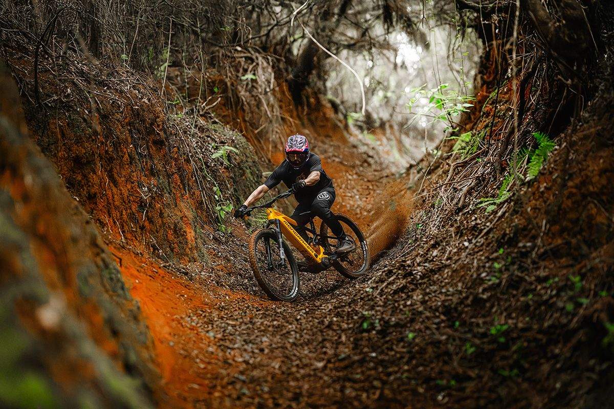 Mondraker Level XR 2026