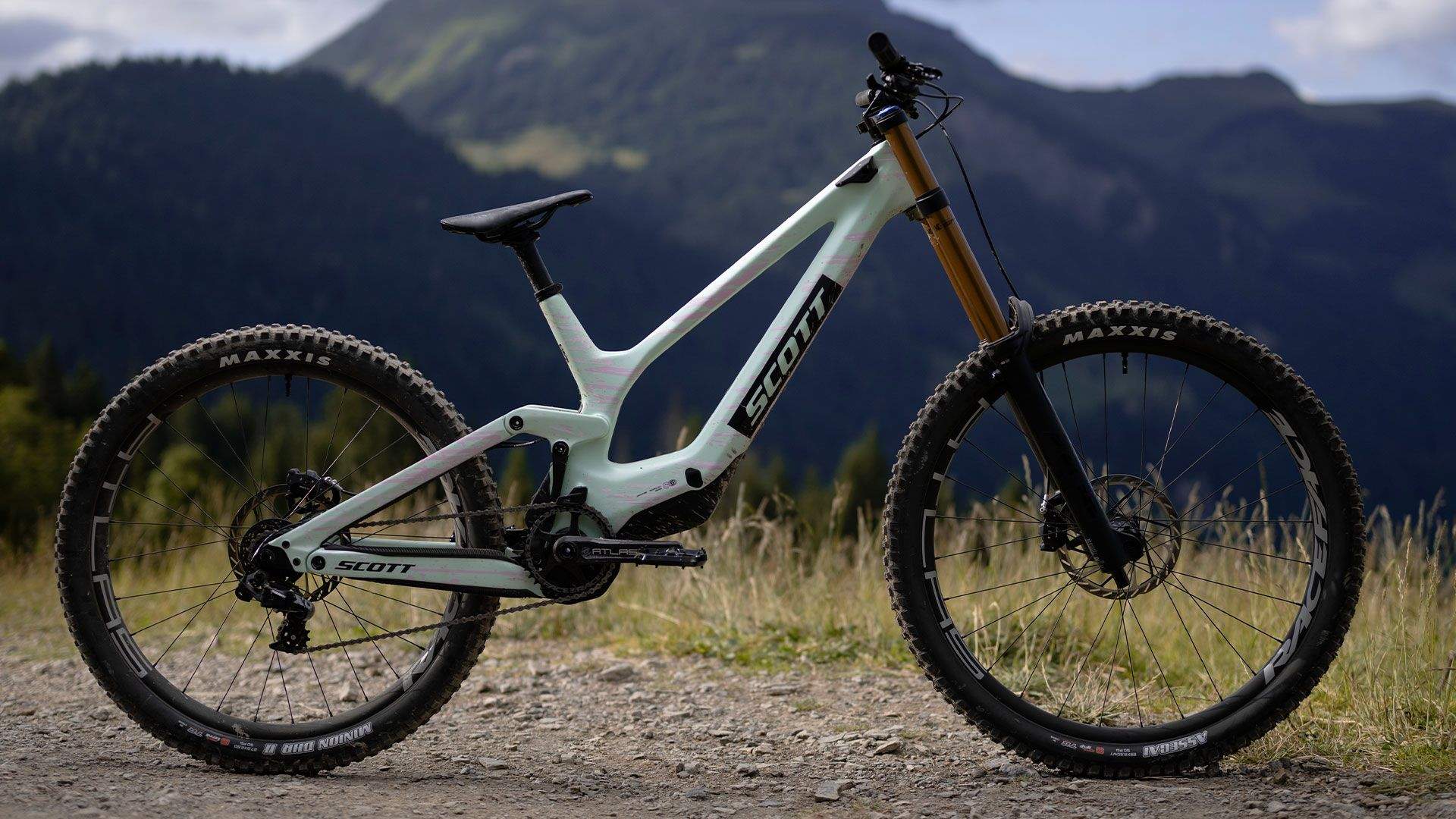 Nueva Scott Gambler 2026 Nueva Scott Gambler 2026
