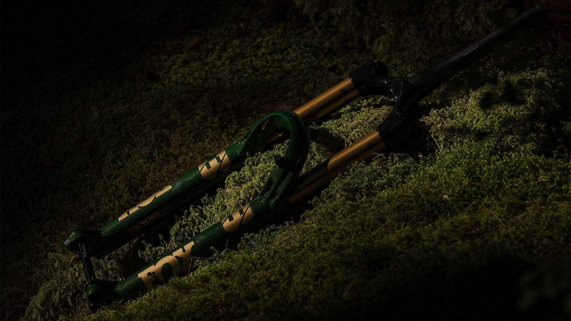 FOX 38 Racing Green Edición Limitada ¡Puede ser tuya gratis!