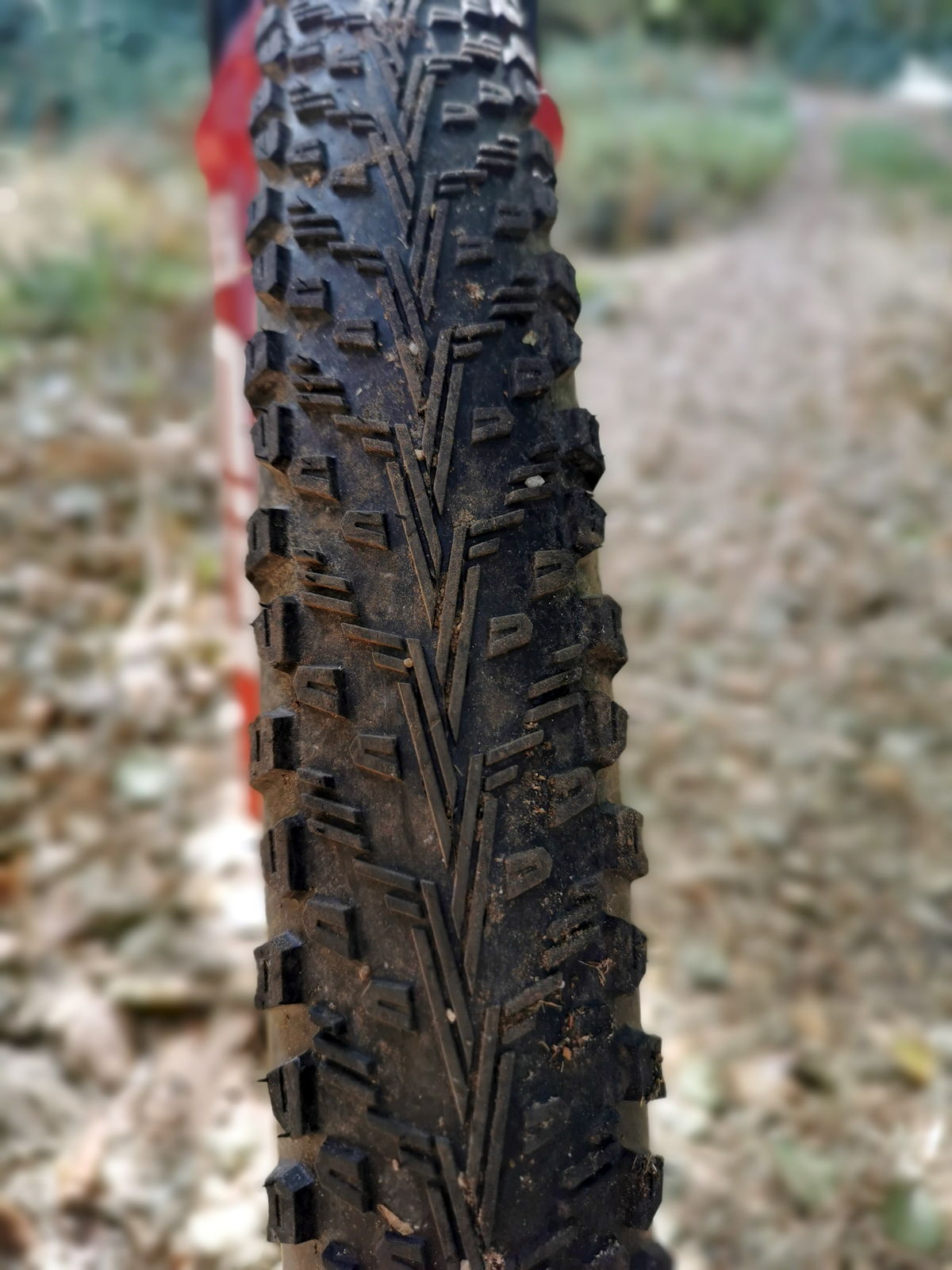 Prueba. Neumáticos Vittoria Peyote 2.25 detalle 4