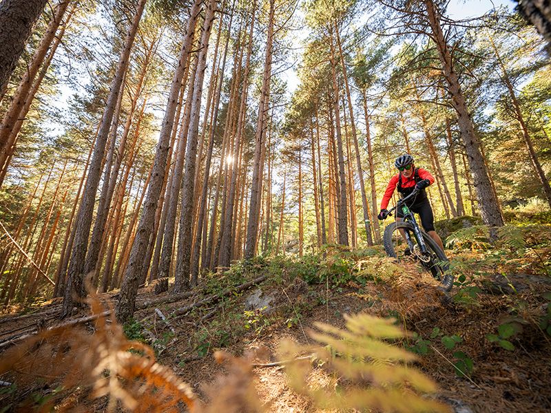 Mtb Soria 529