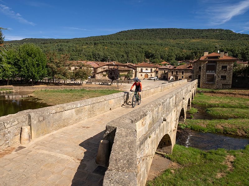 Mtb Soria 515