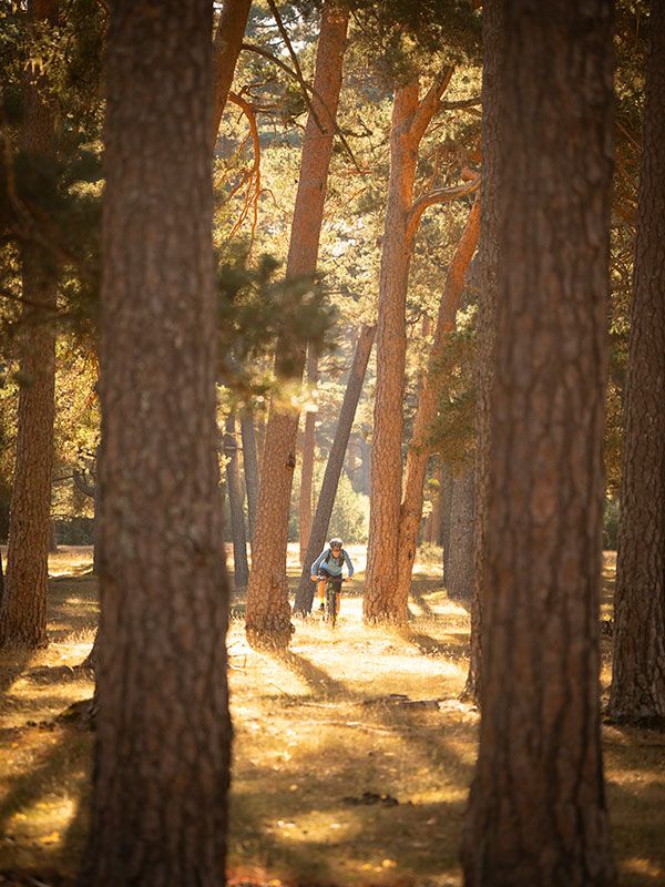 Mtb Soria 530
