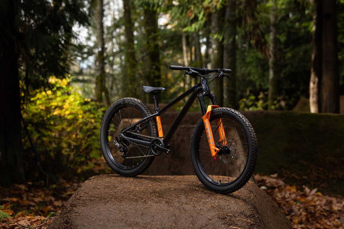 Giant STP 24